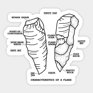 Characteristics of a Flake Sticker